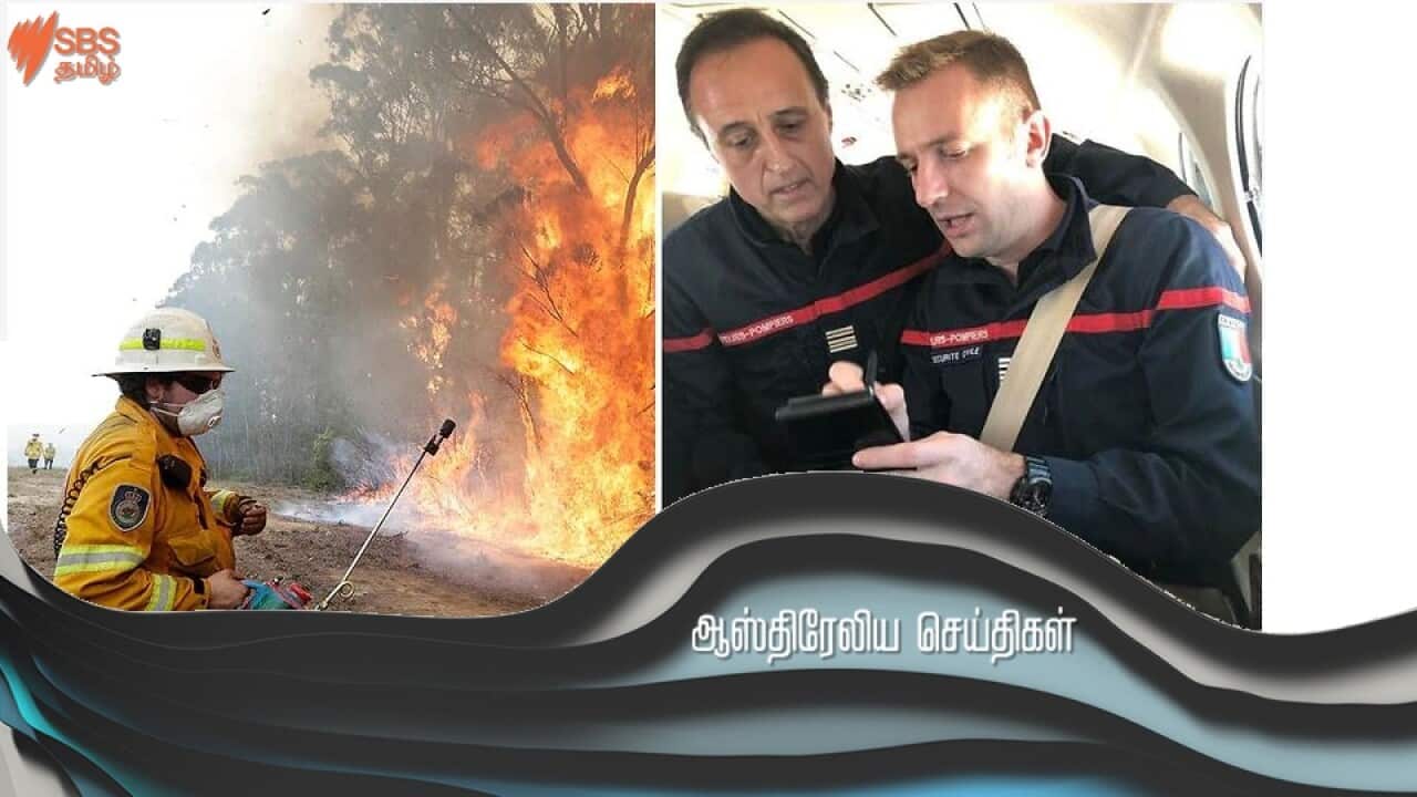 cc