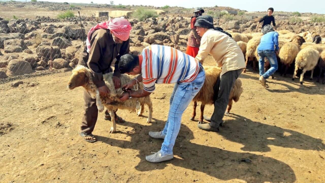 CIHEAM, Centro internazionale di studi agronomici mediterranei avanzati
