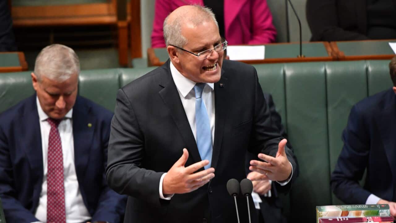 Auspol, Newstart Allowance, Immigration, Agriculture and the environment