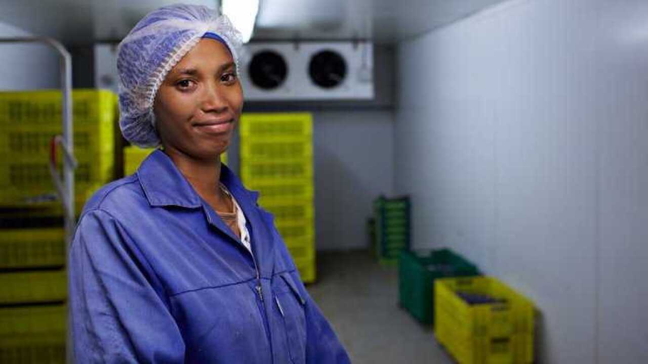 Image for read more article 'READ MORE'