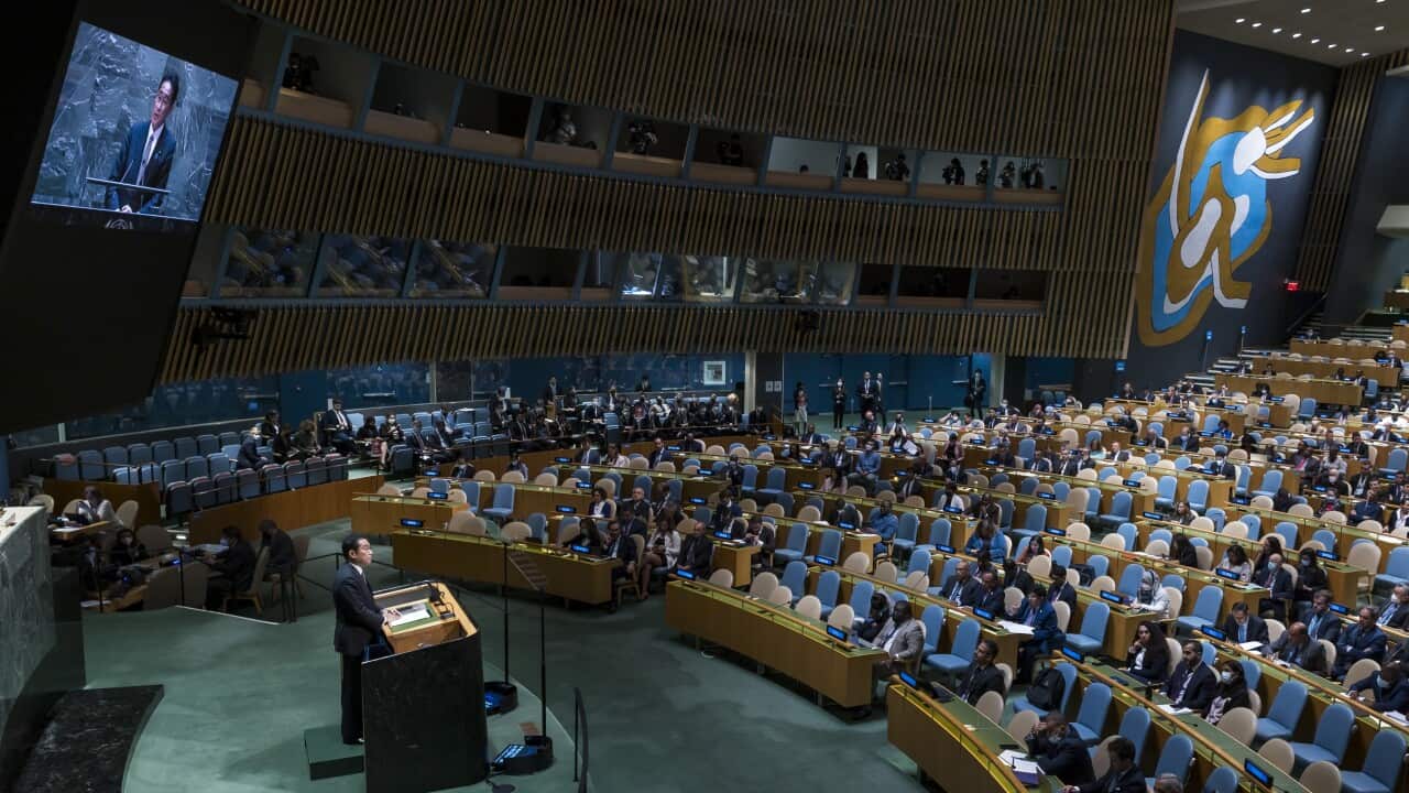 Tenth Review Conference of the Parties to the Treaty on the Non-Proliferation of Nuclear Weapons (NPT) at United Nations headquarters in New York, New York.