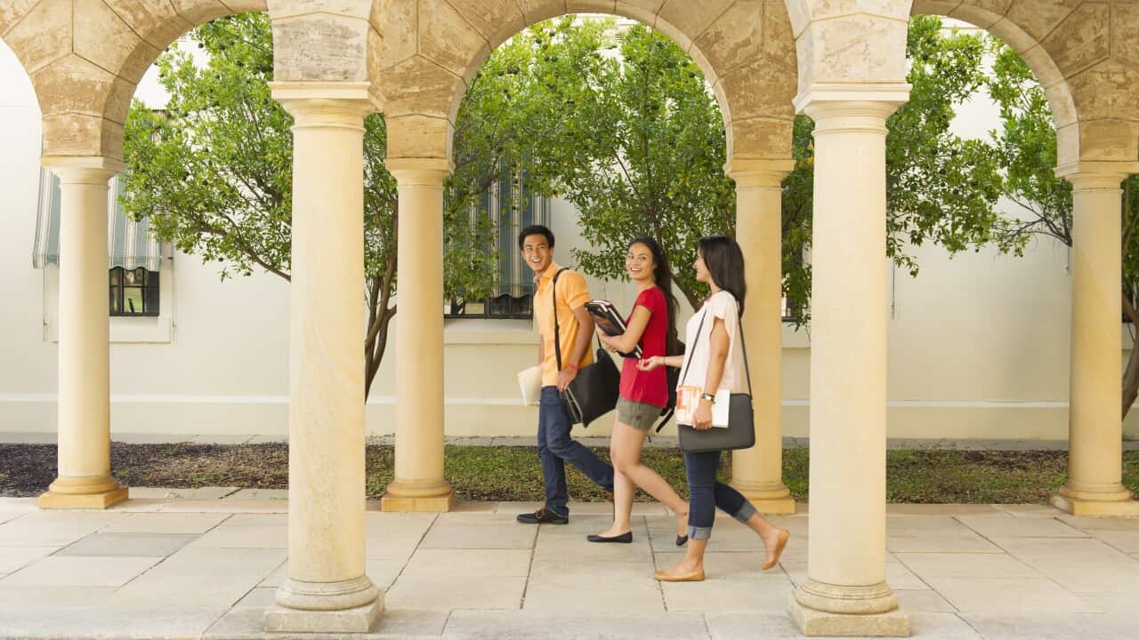 Image for read more article ''