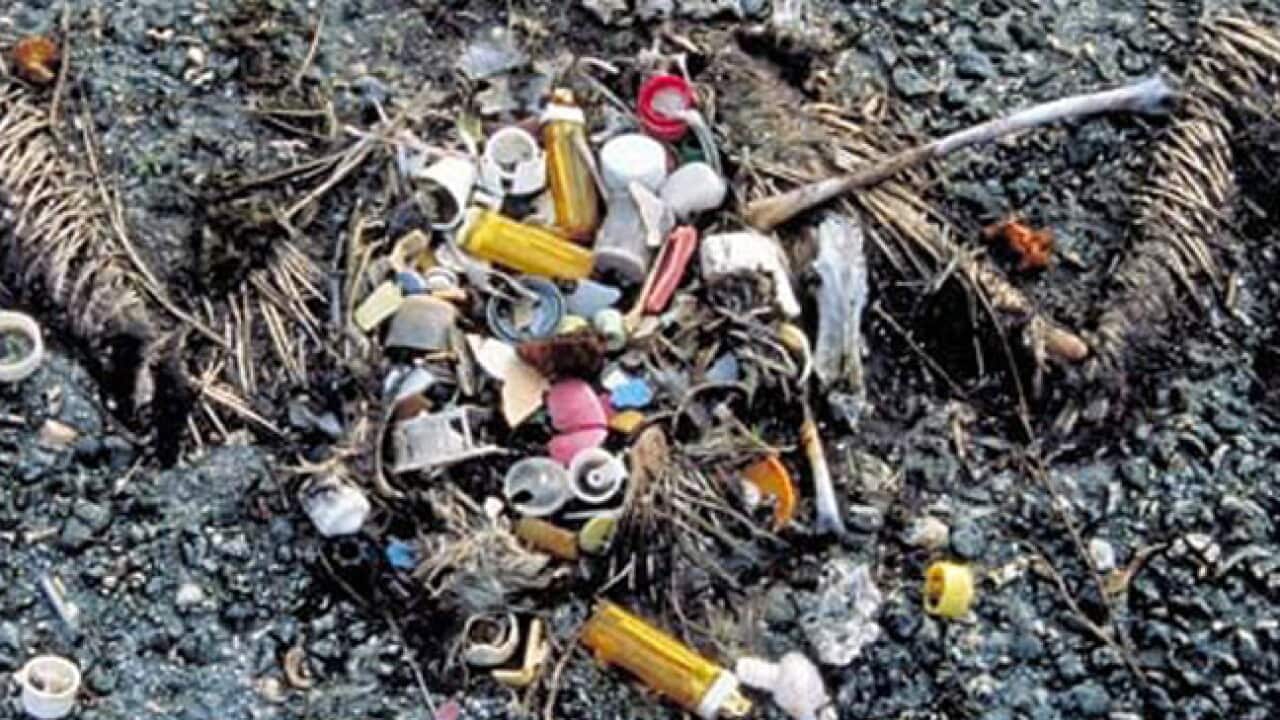 ocean_garbage_patch_130423_aap_l_923521701