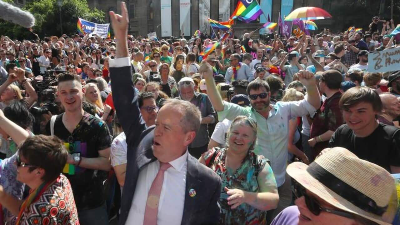 Bill Shorten reacts to the same-sex marriage postal survey Yes result.