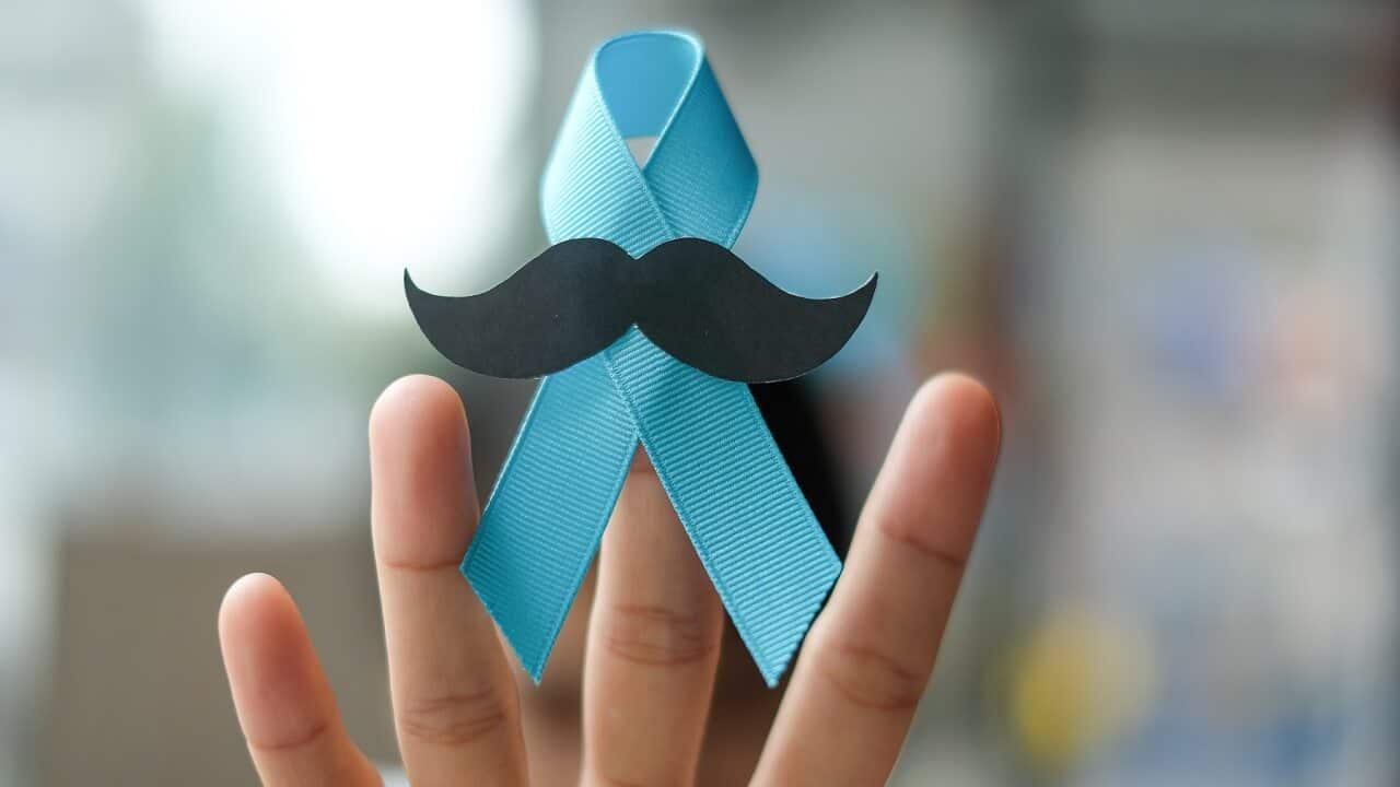 A blue ribbon to show support for prostate cancer research