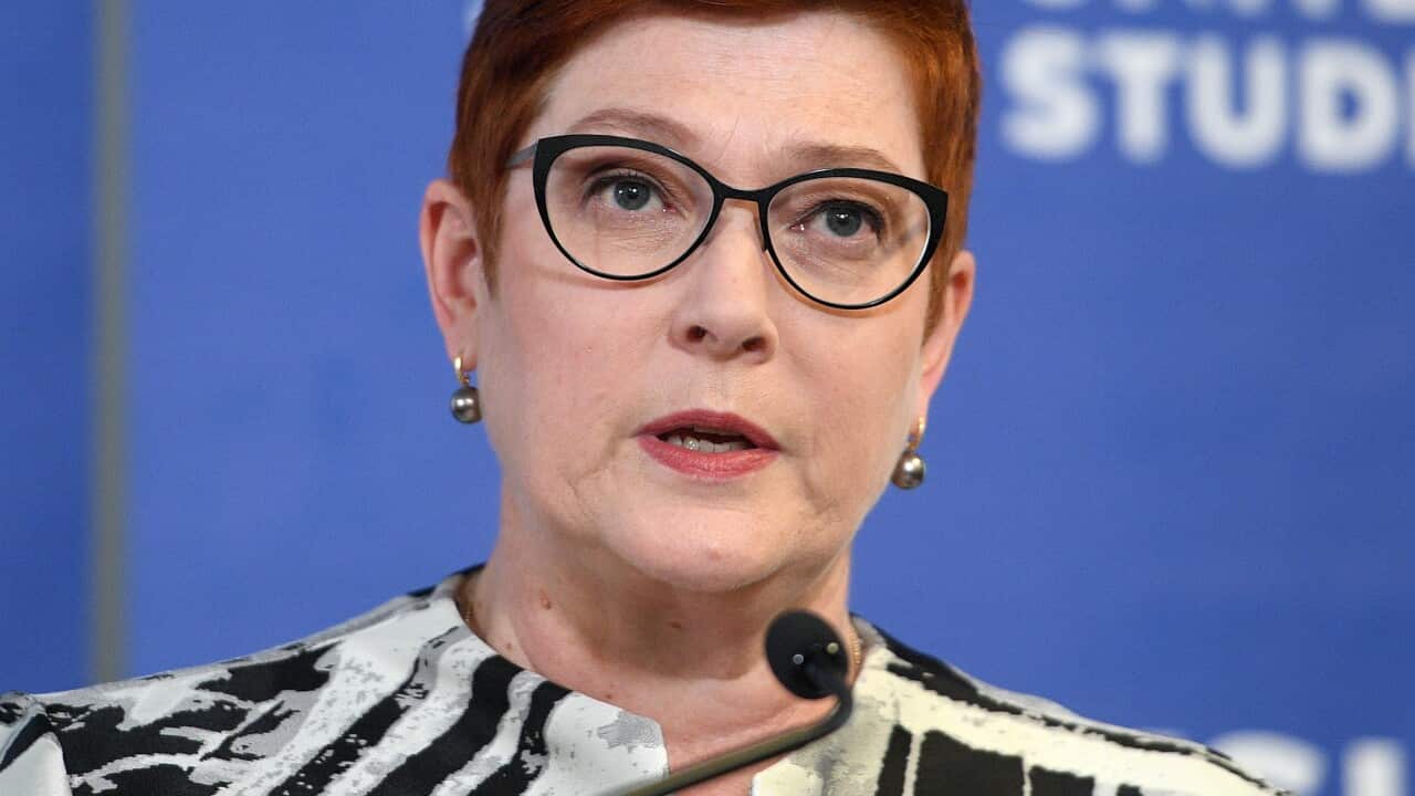 Foreign Minister Marise Payne makes an address in Sydney.