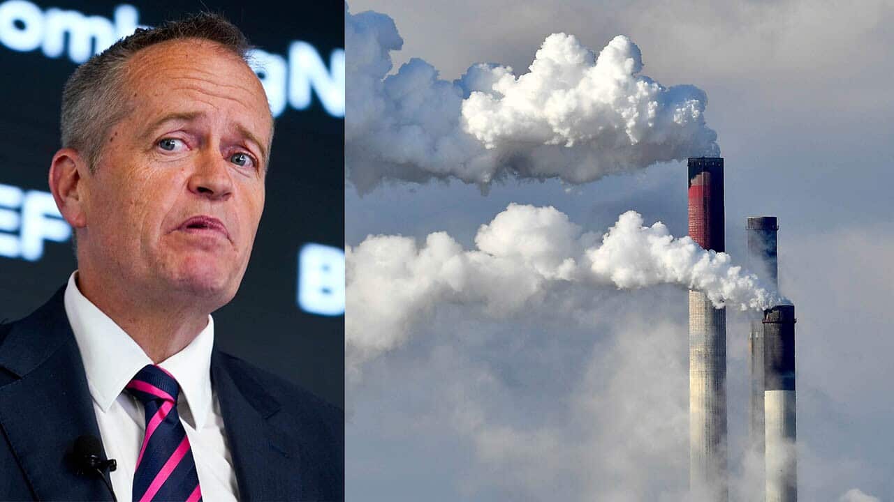 'Game changer' or 'bullsh*t'? Climate change groups react to Labor's energy plan