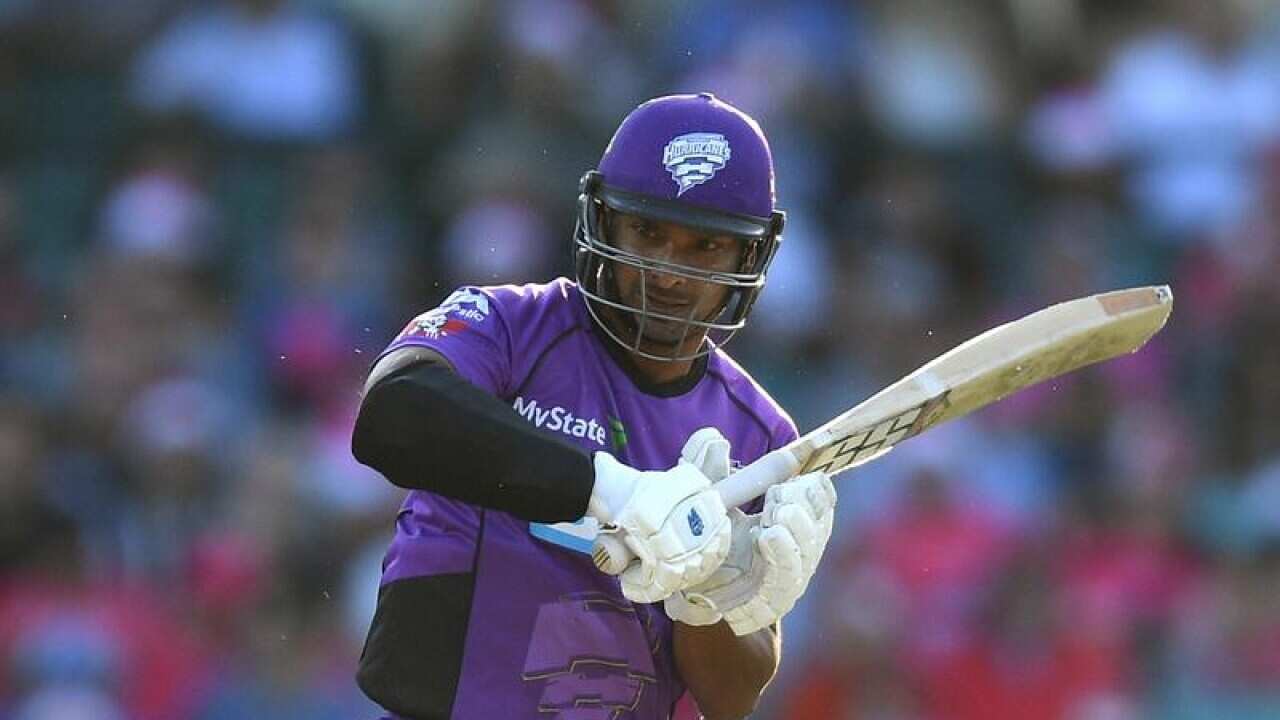 cricket