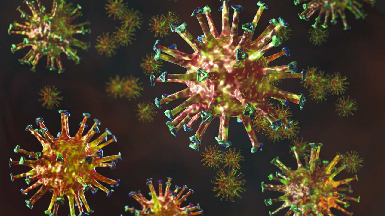 corona virus 1