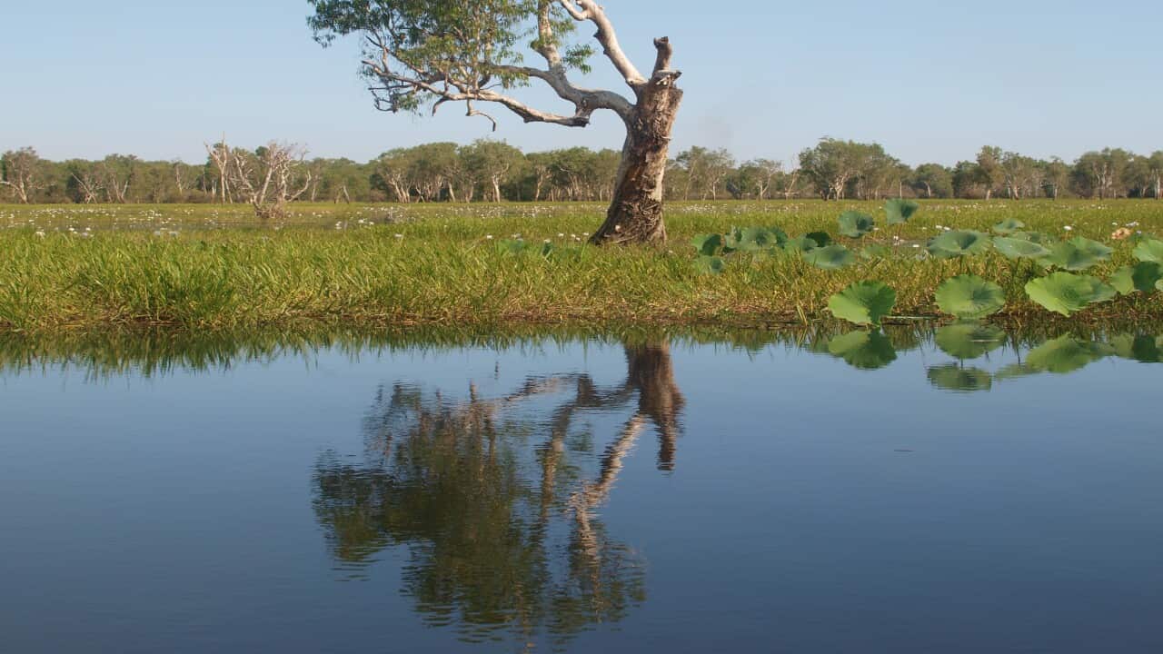 Kakadu Nationalpark Australien