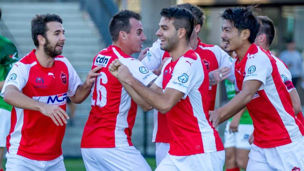 Wollongong Wolves