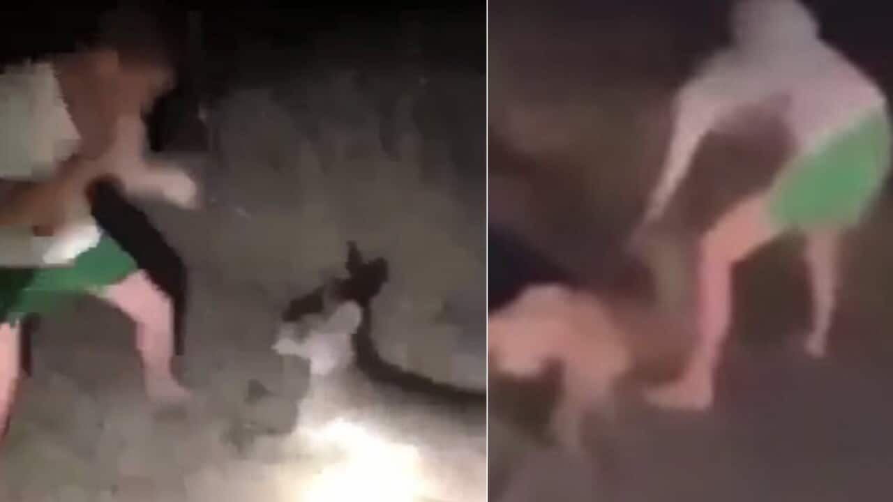 A man has been charged following an investigation into an alleged act of animal cruelty to a kangaroo