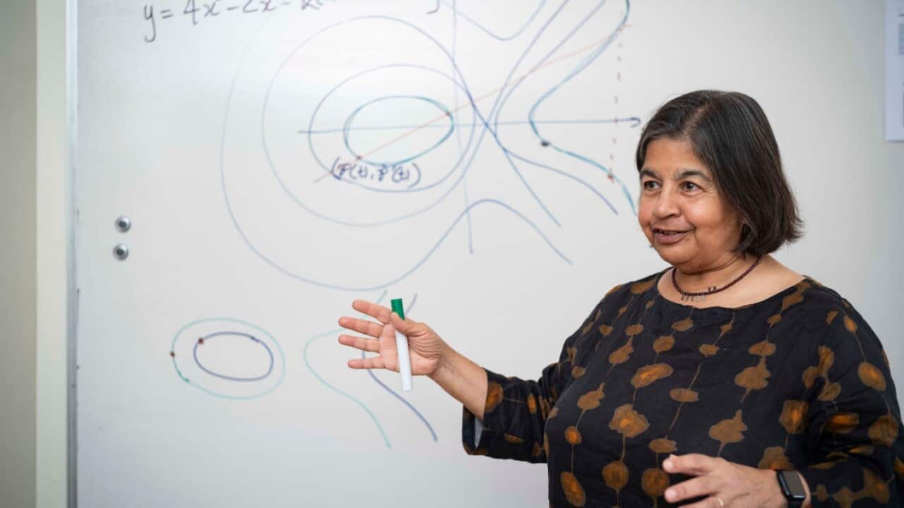 NSW Scientist of the year Pro. Nalini Joshi
