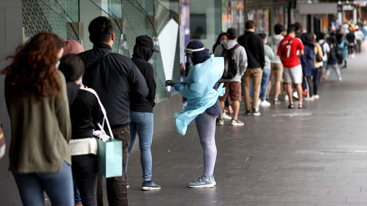 Qeue to take Covid 19 PCr test