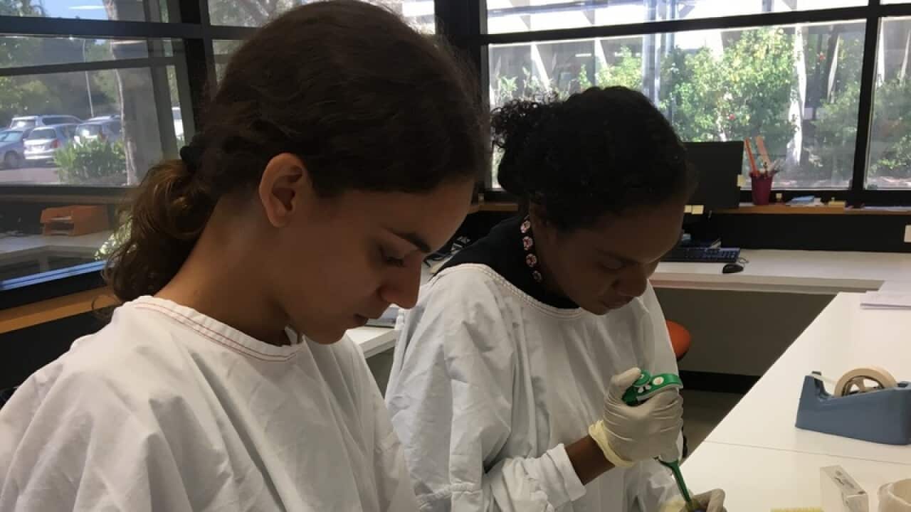 Trainees testing plants at Menzies laboratories