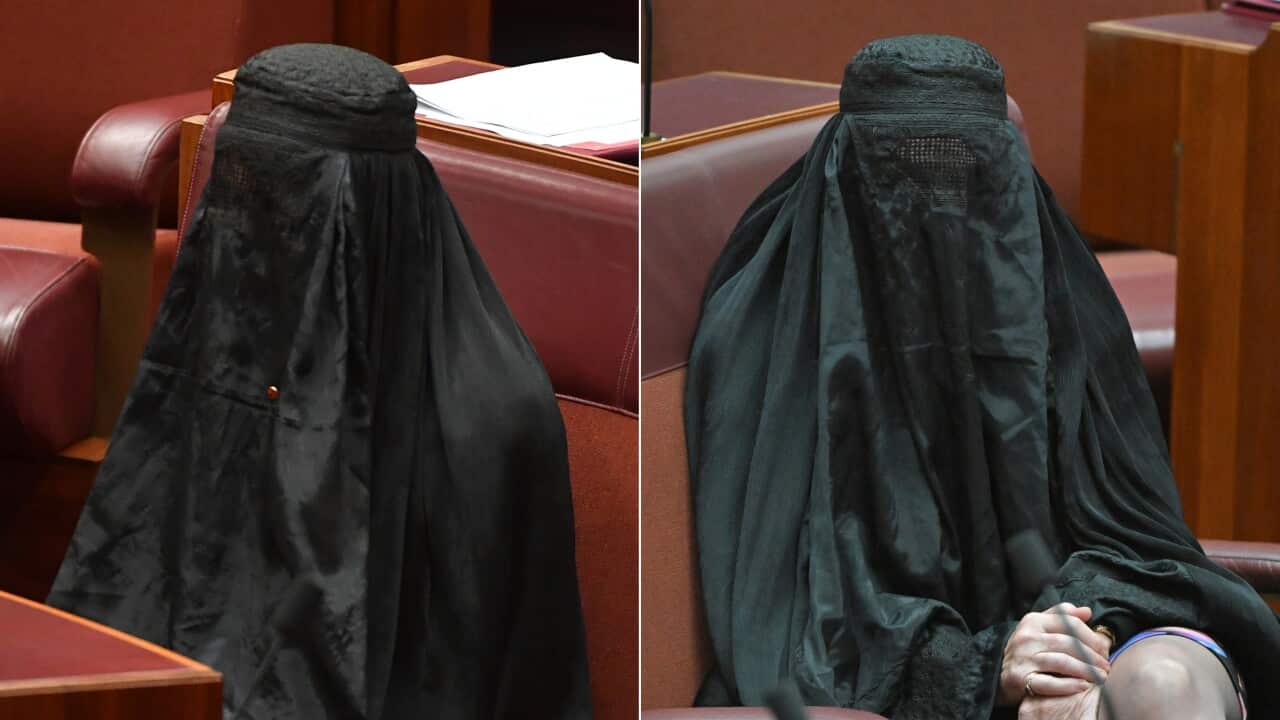 PAULINE HANSON BURQA DIPTYCH