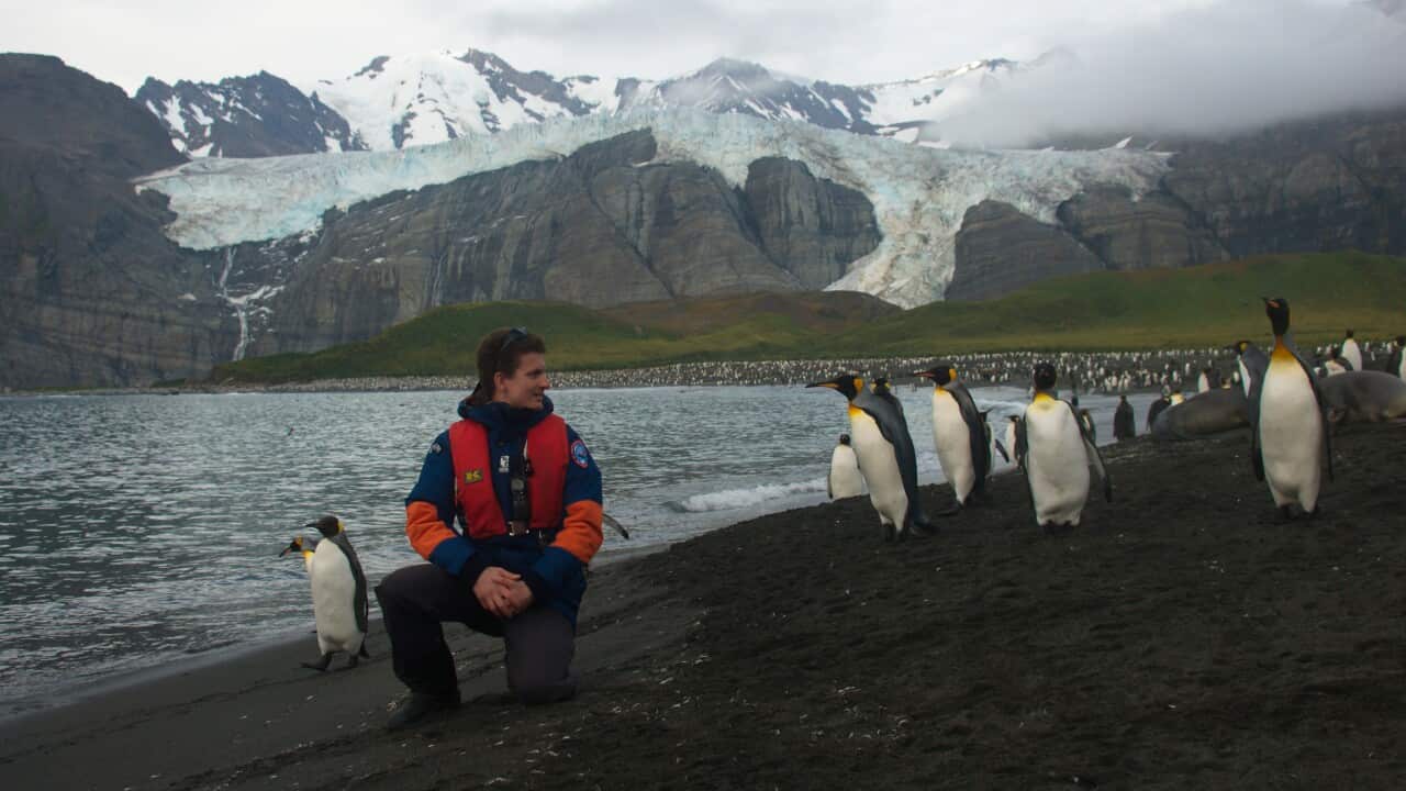 Boris Soloviev geography and pinguins.jpg
