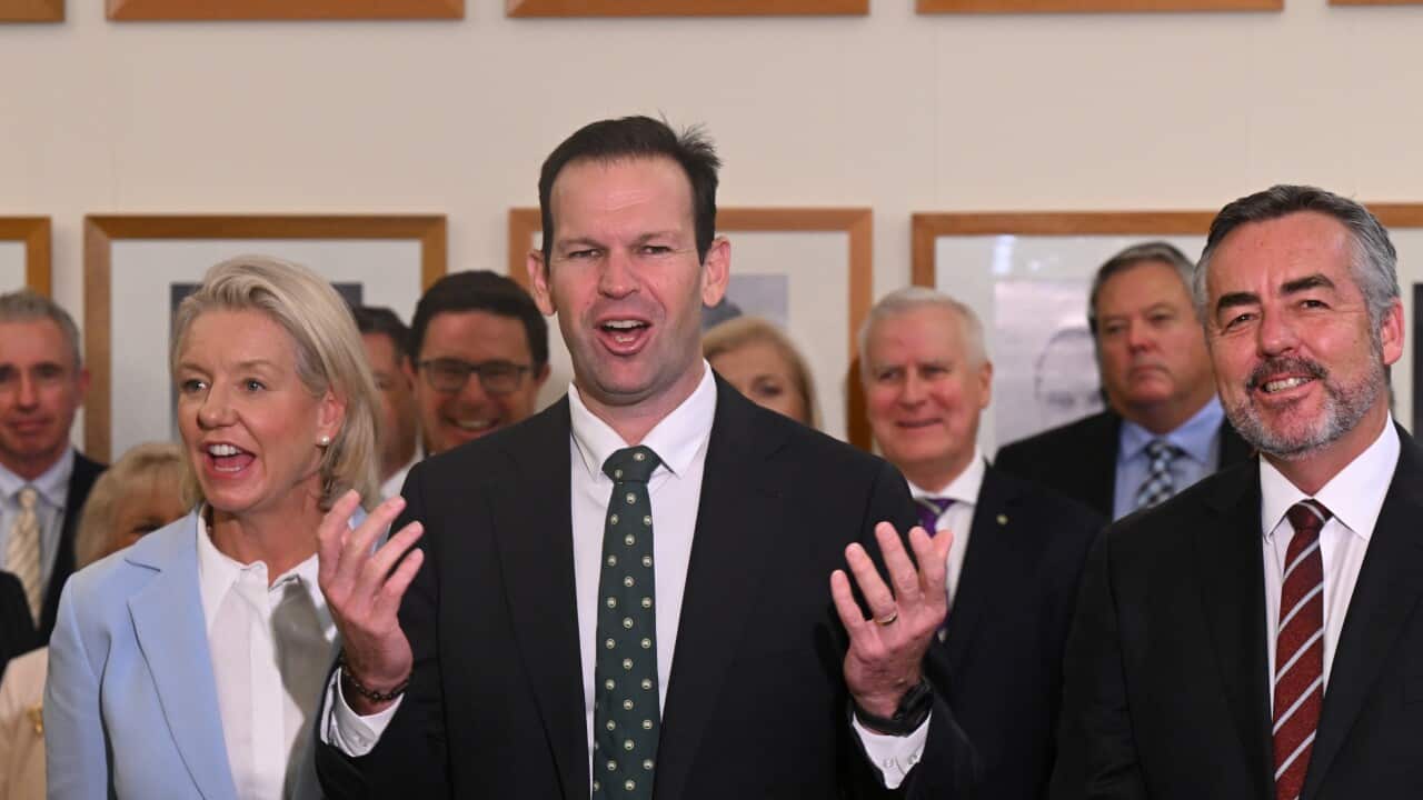 Matt Canavan calls for 'hyper Australia' with 'more babies' as he leads National Party | SBS News