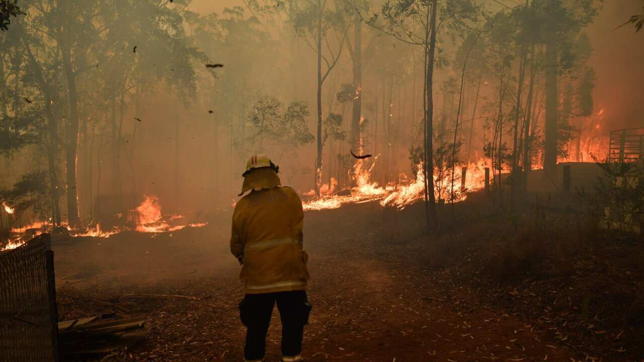RFS volunteers and NSW Fire