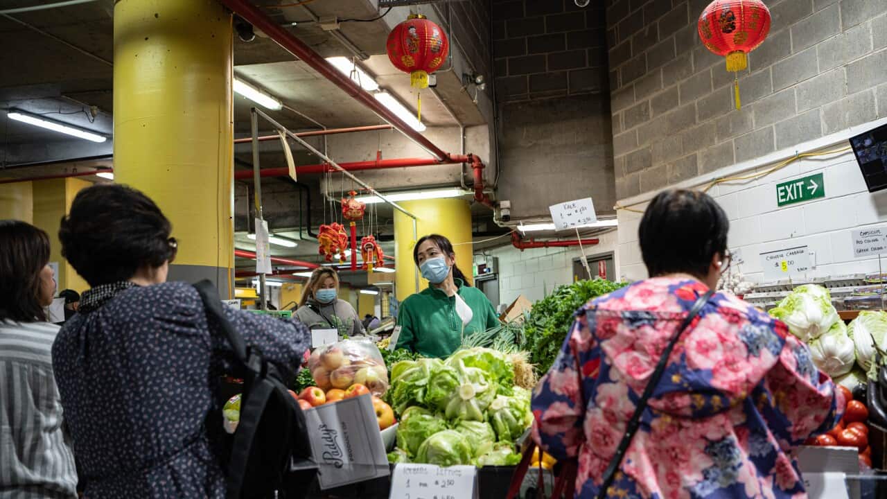 ABS CPI FIGURES STOCK