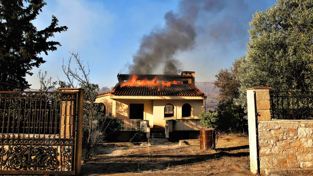 GREECE WILDFIRE