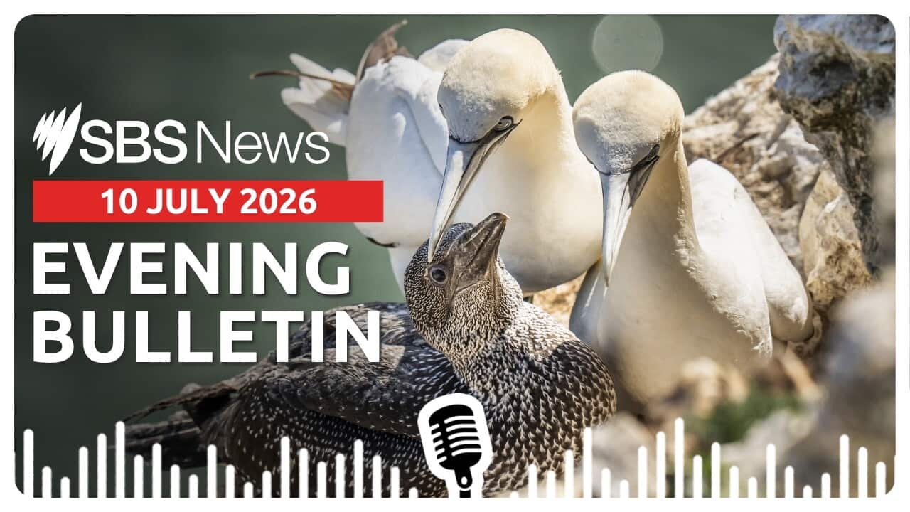 AFTERNOON BULLETIN 100726.jpg