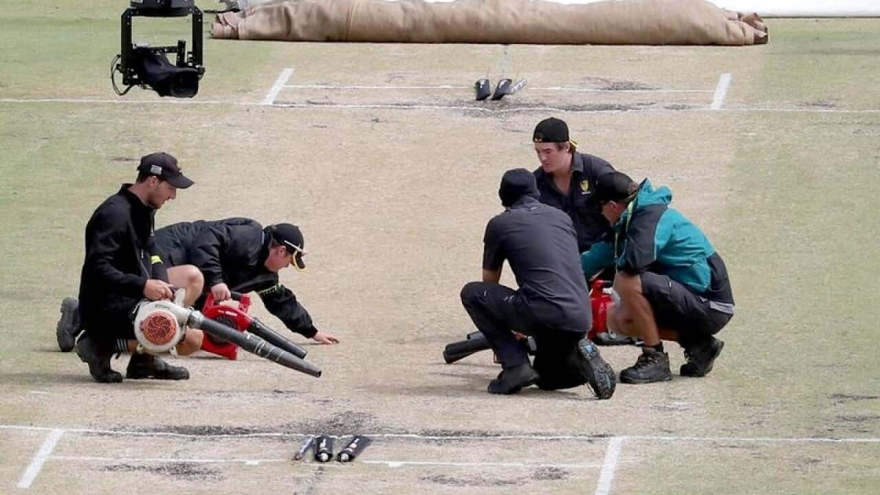 Ground staff world on the WACA wicket