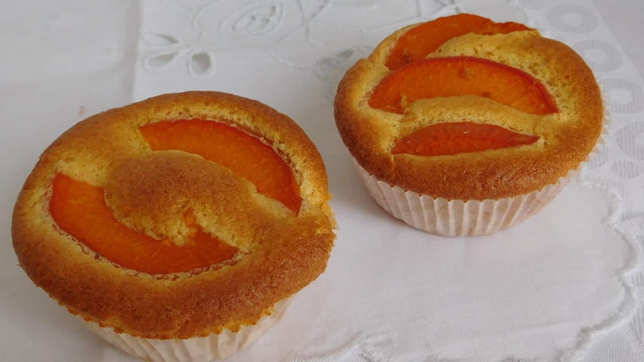 mafini marelica B.jpg