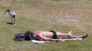 A man sunbathing with a towel over his head next to an ibis