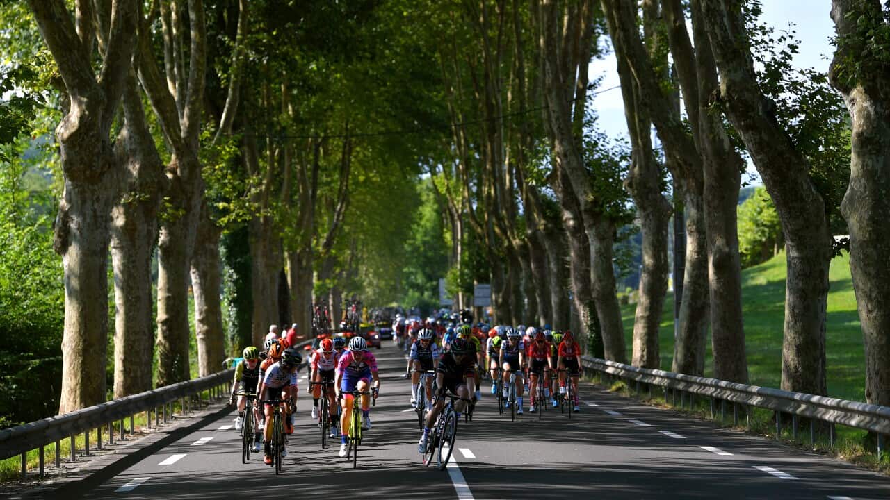 La Course by Le Tour de France.