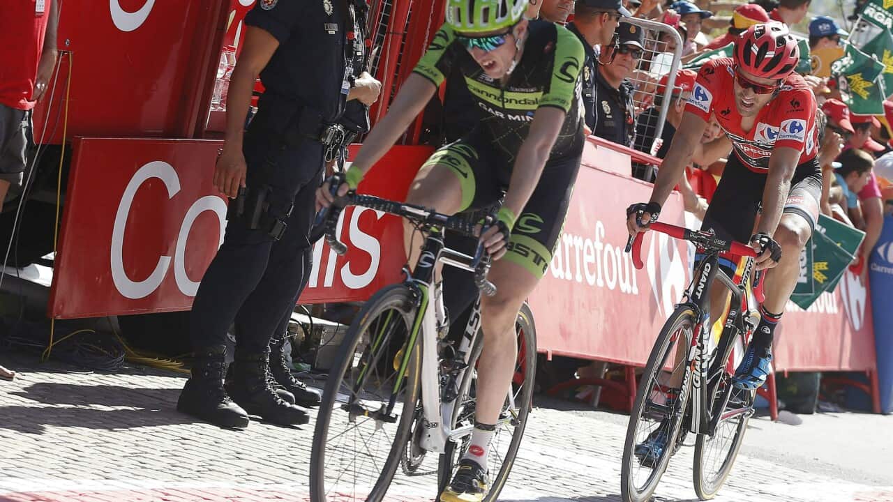 Wrong place, wrong time... Daniel Martin's crash on Stage 8 saw him exit the Vuelta.