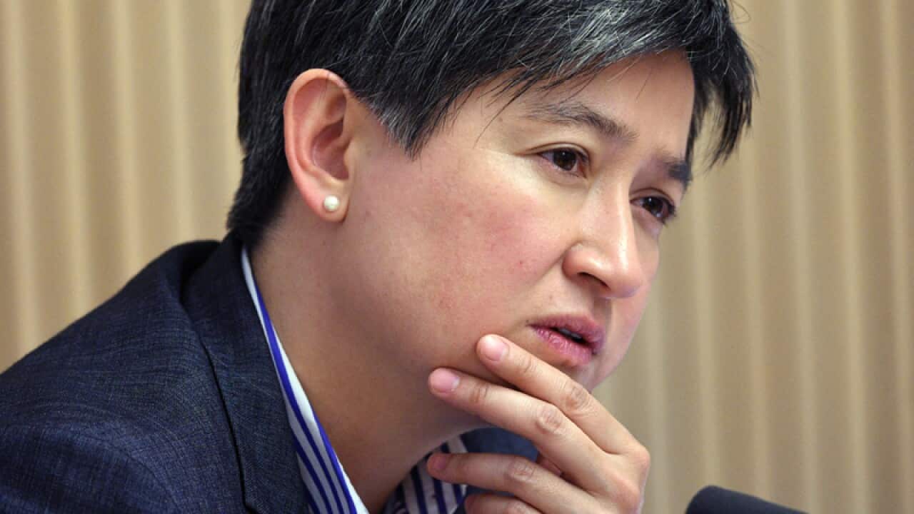 Labor Senator Penny Wong