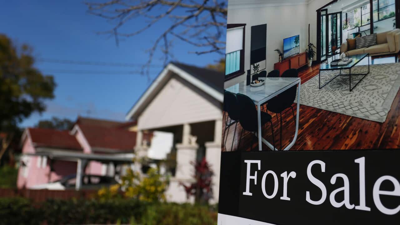 Image for read more article 'READ MORE'