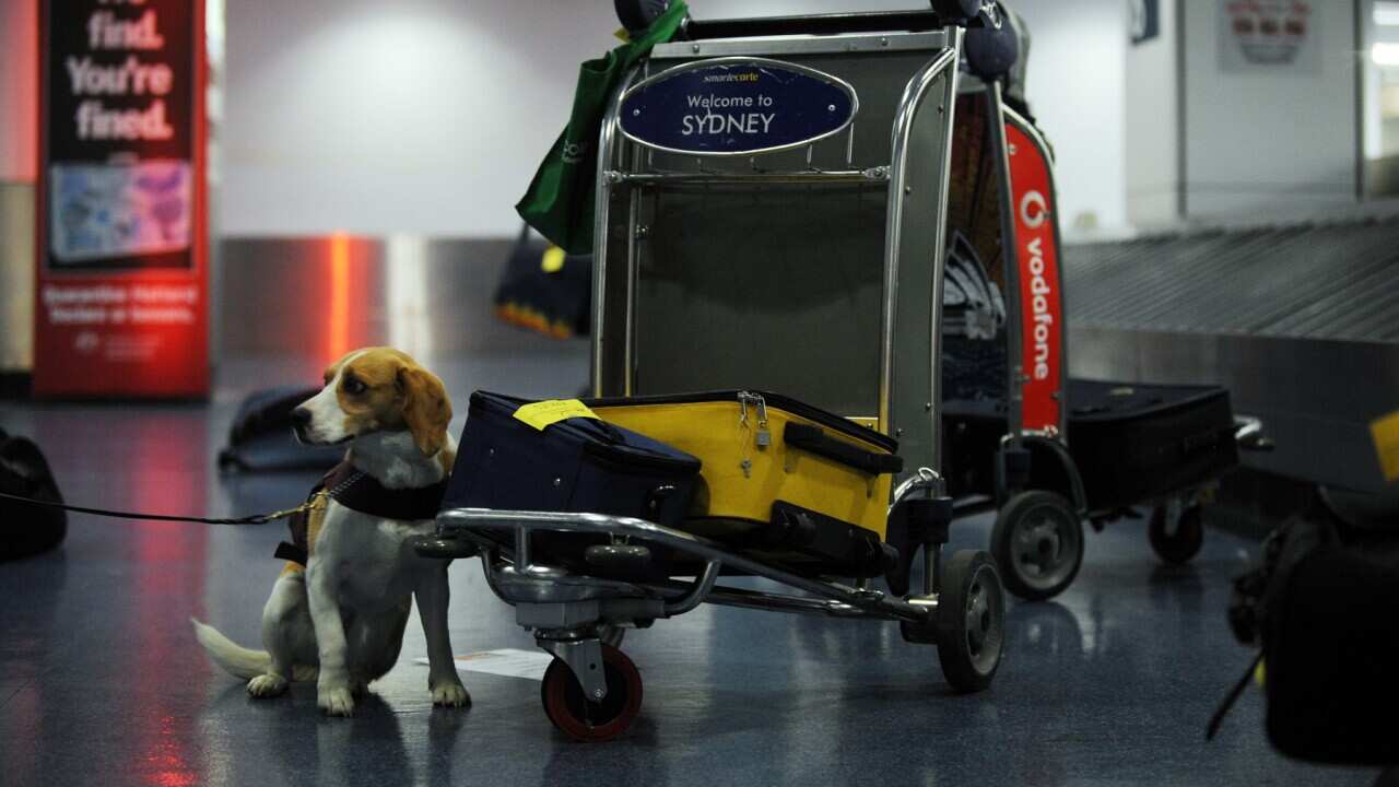 Image for read more article 'READ MORE'