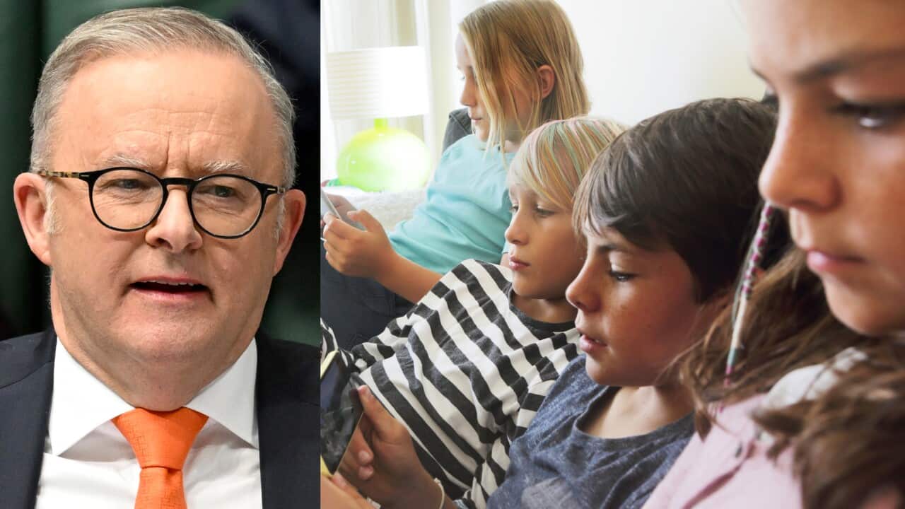 Albanese announces social media ban for children