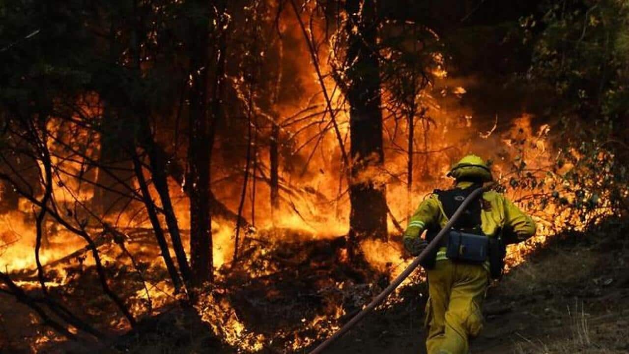 At least 38 people have died in California's wildfires. (AAP