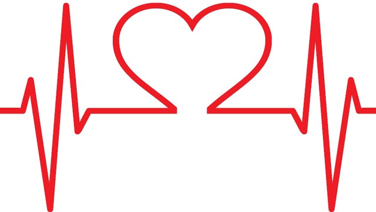 Health Heart Medical Heart Care Medicine Care