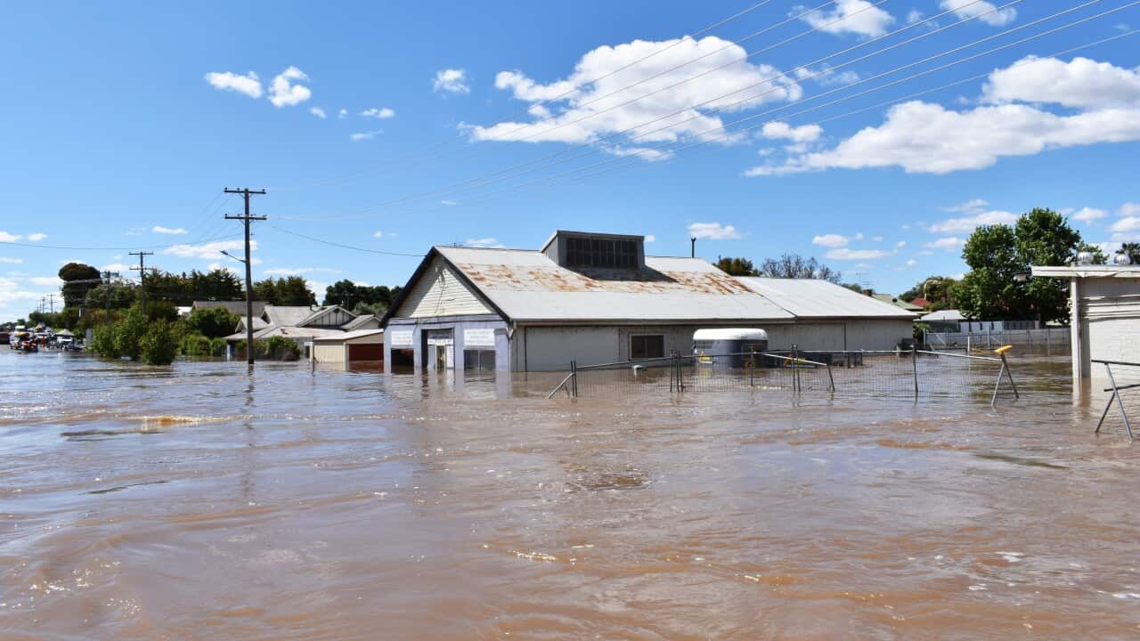 NSW FLOODS