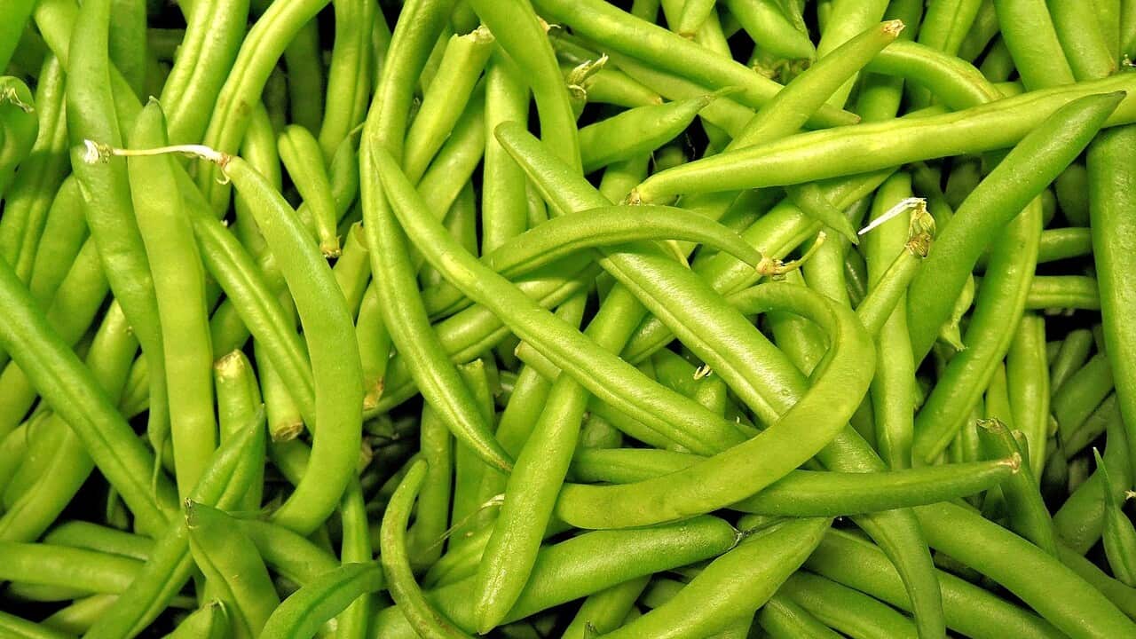Green beans