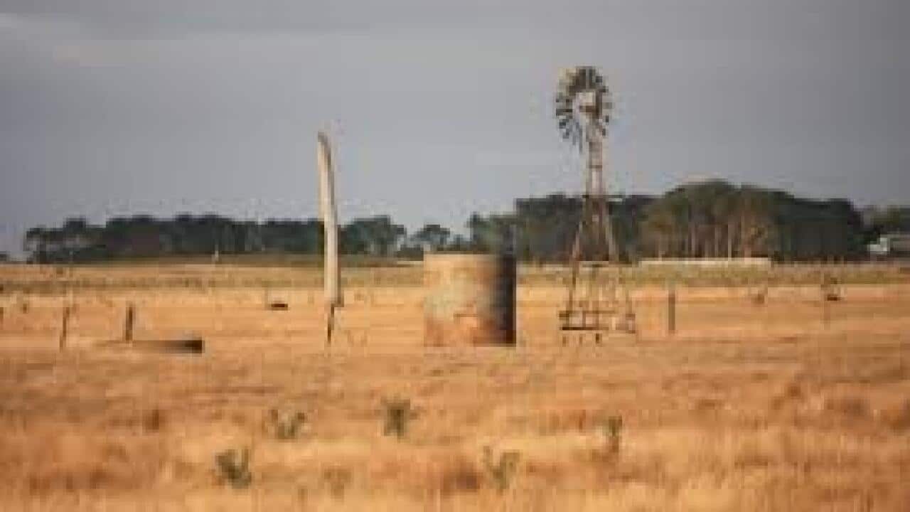 Dutch dairy farmer drought 2018
