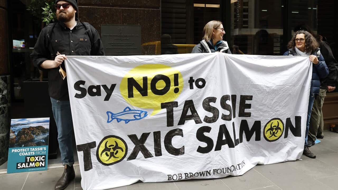 Image for read more article '更多內容'