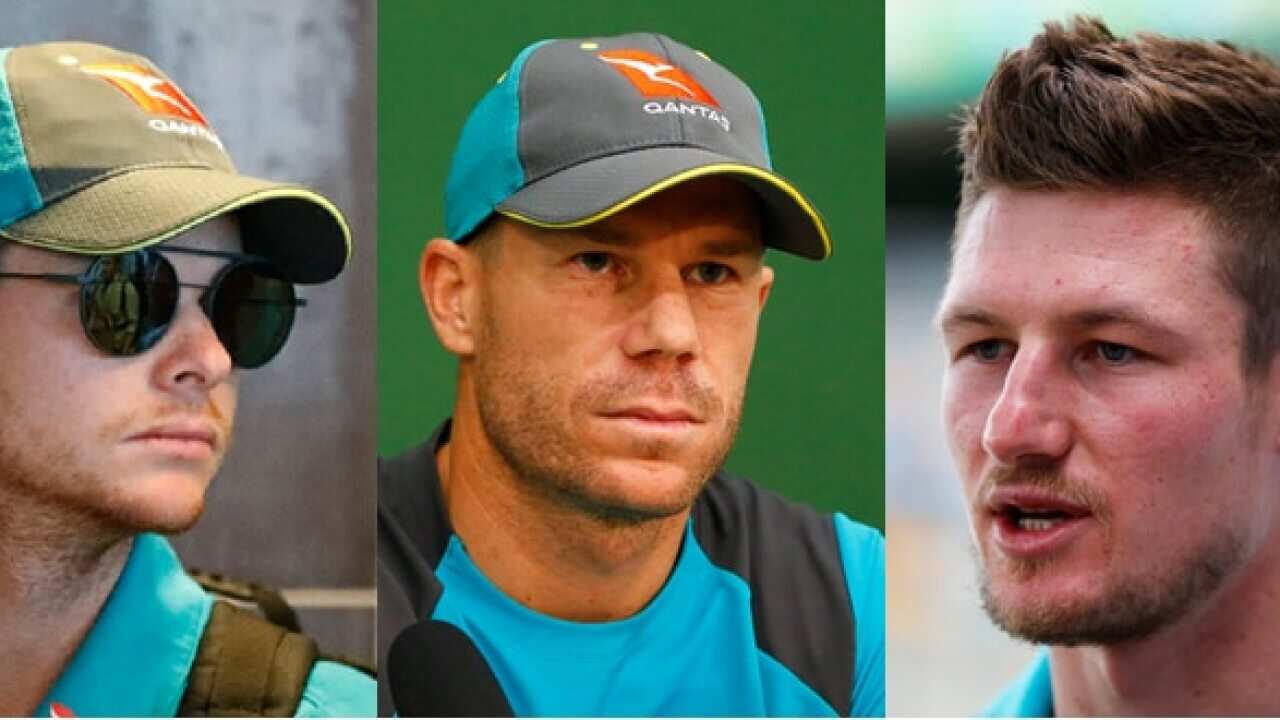 Steve Smith, David Warner and Cameron Bancroft.