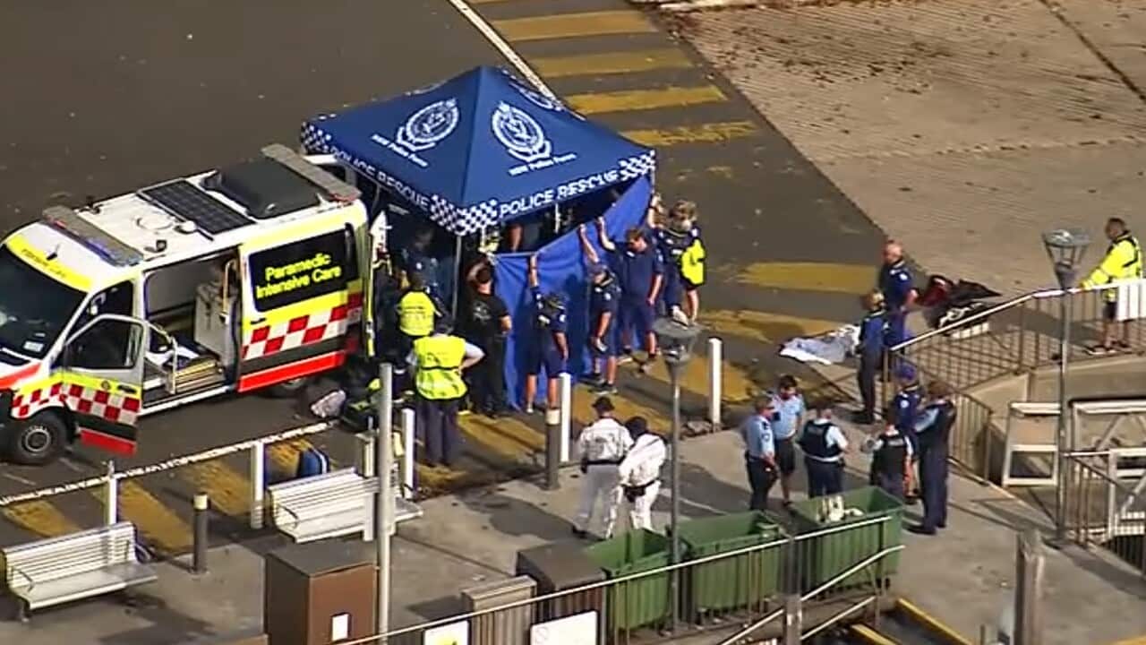 Image of ambulance and emergency tent set up at scene of shark attack