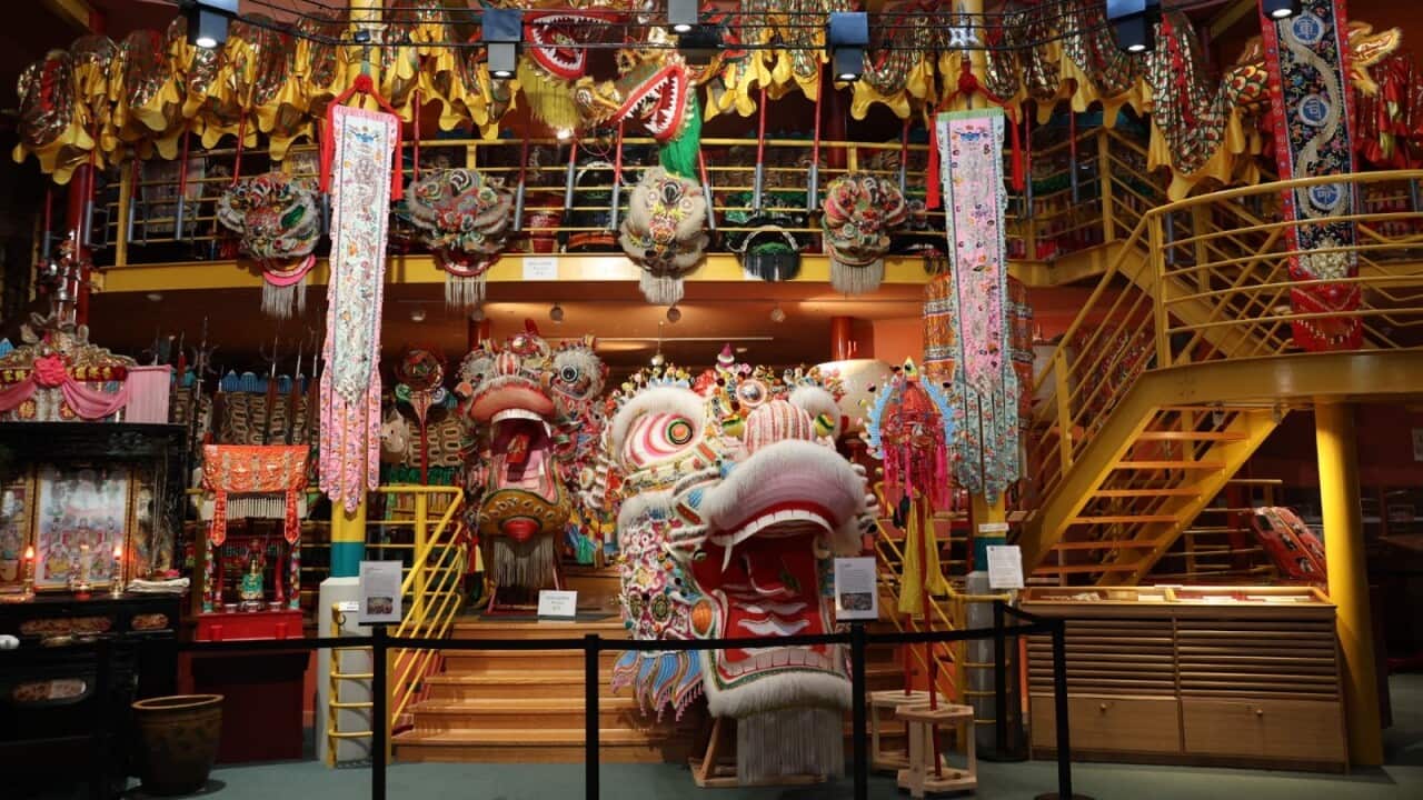 A large Chinese processional dragon inside a museum with other artifacts