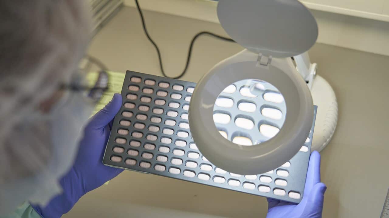 由輝瑞藥廠研發用來治療新冠病毒的藥丸Paxlovid,是首個在美國獲批准治療新冠病症的藥物。同時,這種藥物對治療新冠病毒方面有接近九成的功效。