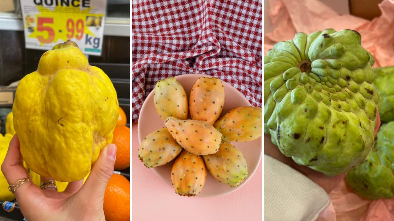 Quince, Prickly Pear, Custard Apple.png