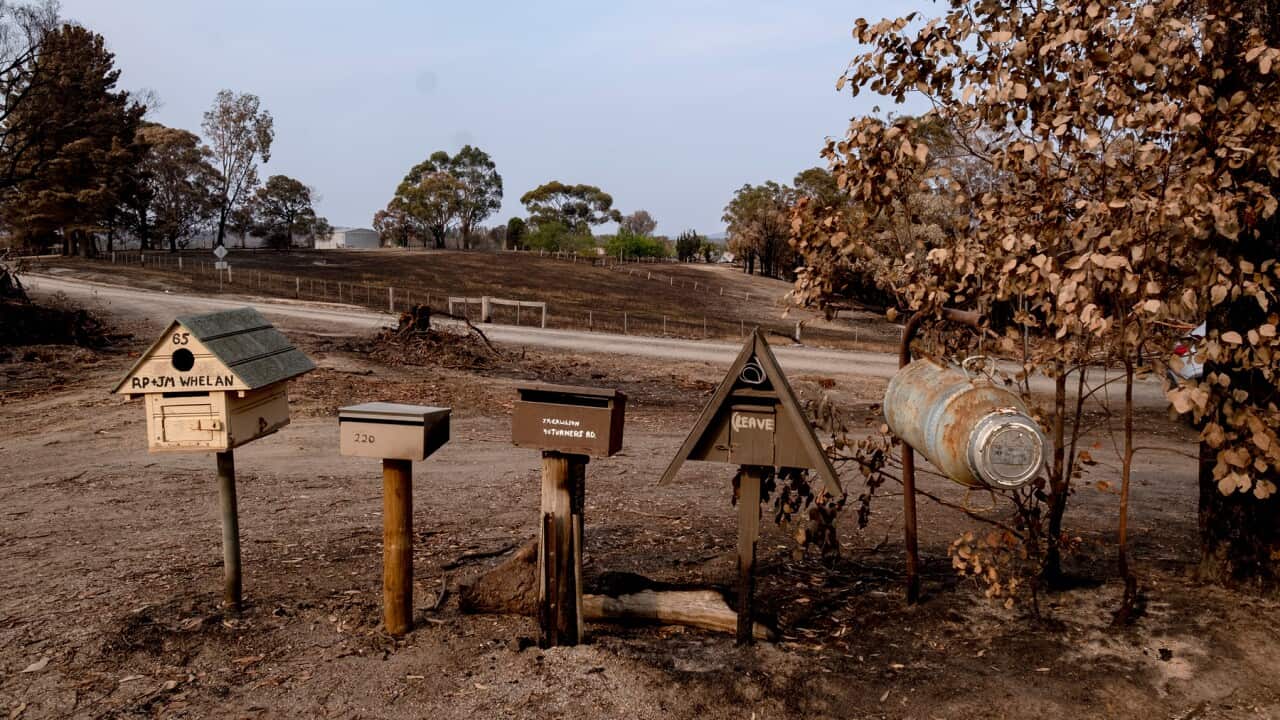 Burnt letterboxes at Clifton Creek near Bairnsdale, Vic