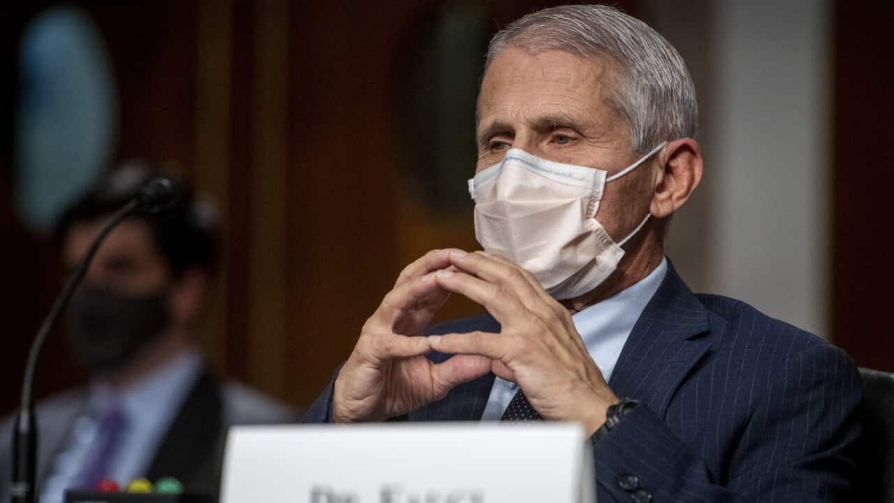 Anthony Fauci during a US Senate Committee