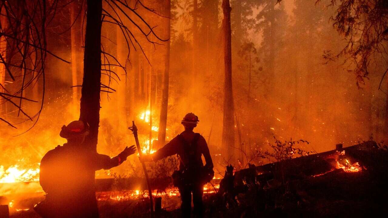 AAP Image/AP Photo/Noah Berger