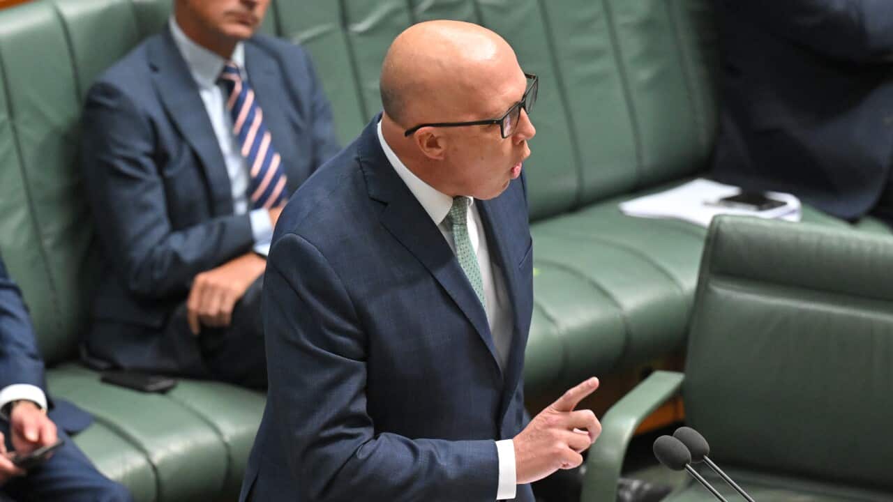 Image for read more article 'READ MORE'